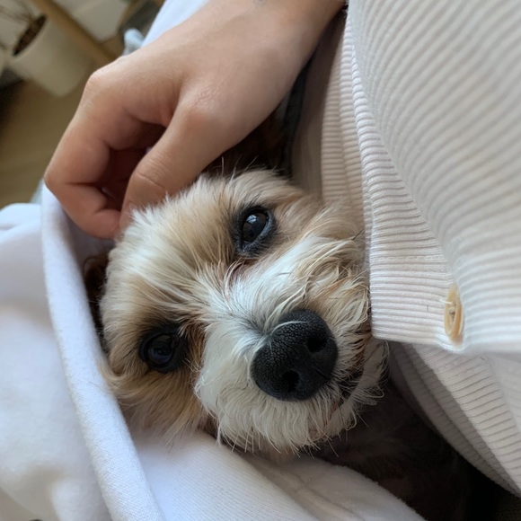 MY LITTLE BABY 🥰 - Picture 6 of 16